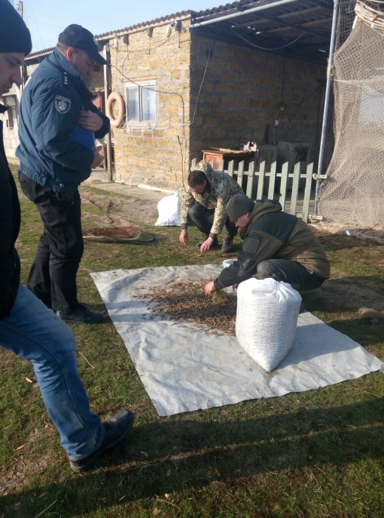 В Черноморке задержали браконьера - наловил креветок на 27 тыс.грн. 9