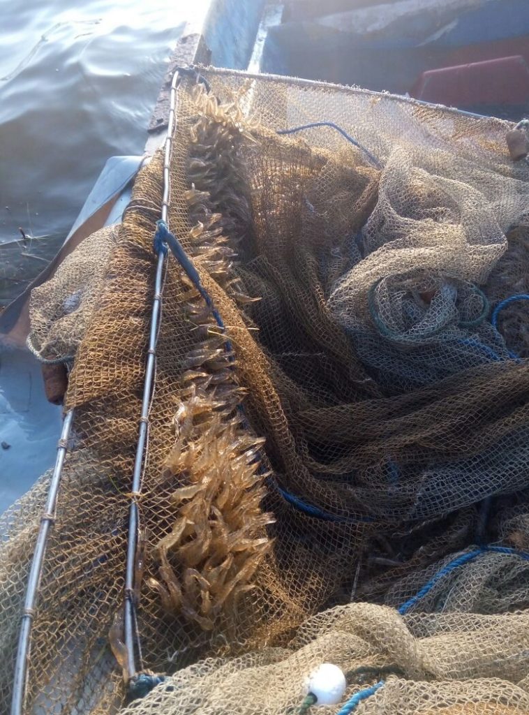 В Черноморке задержали браконьера - наловил креветок на 27 тыс.грн. 7
