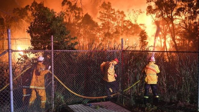 Огонь наступает на Сидней: с пожаром борются сотни людей 3