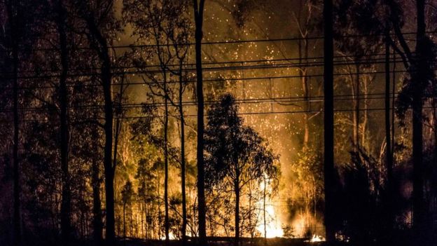 Огонь наступает на Сидней: с пожаром борются сотни людей 1