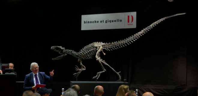 В Париже продавали скелеты динозавров: выручили почти полтора миллиона евро