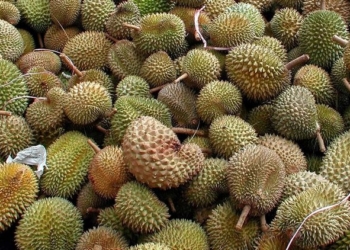 Когда запах действительно сильный: в Австралии эвакуировали 600 человек из-за забытого фрукта в раздевалке