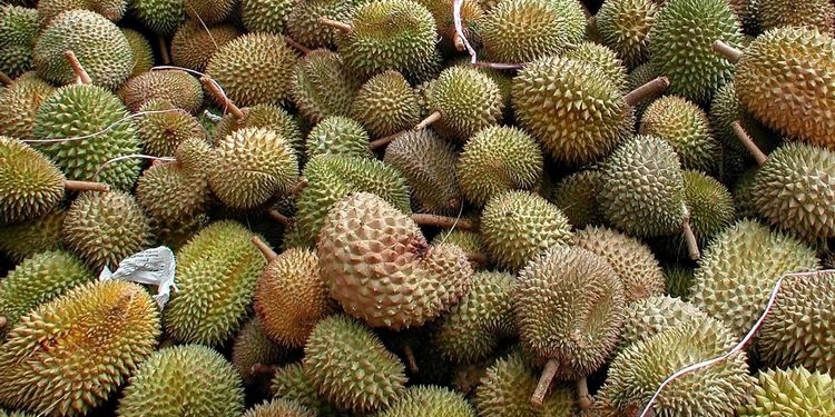 Когда запах действительно сильный: в Австралии эвакуировали 600 человек из-за забытого фрукта в раздевалке