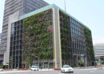 Японцы с удовольствием приходят в эко-офис на полчаса раньше: поработать на рисовых полях и томатных огородах