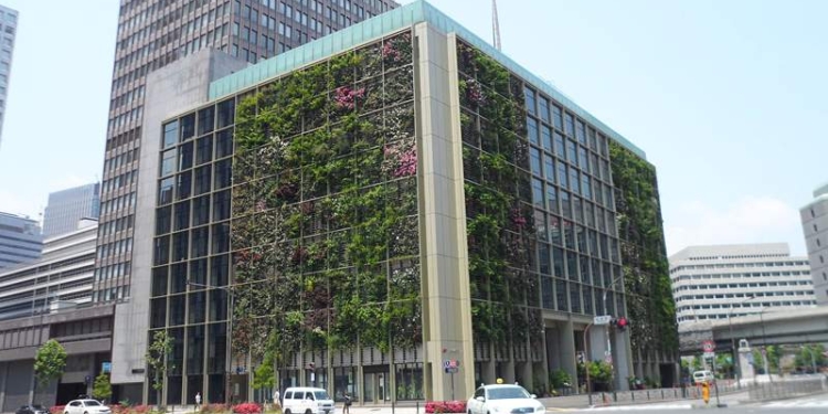 Японцы с удовольствием приходят в эко-офис на полчаса раньше: поработать на рисовых полях и томатных огородах