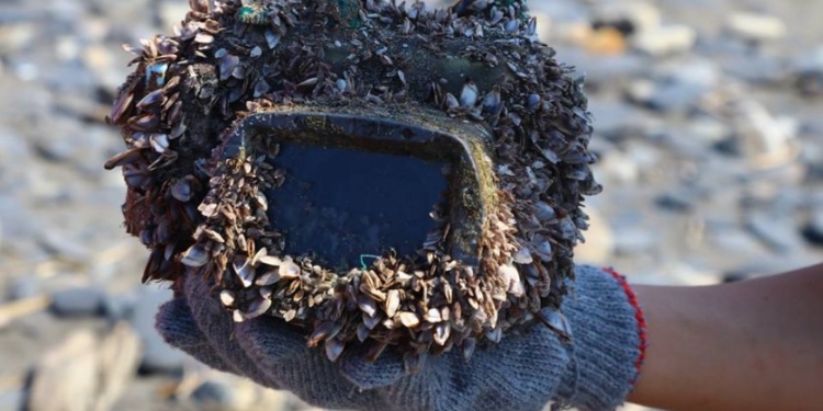 В Японии нашли хозяйку камеры, пролежавшей в море два года