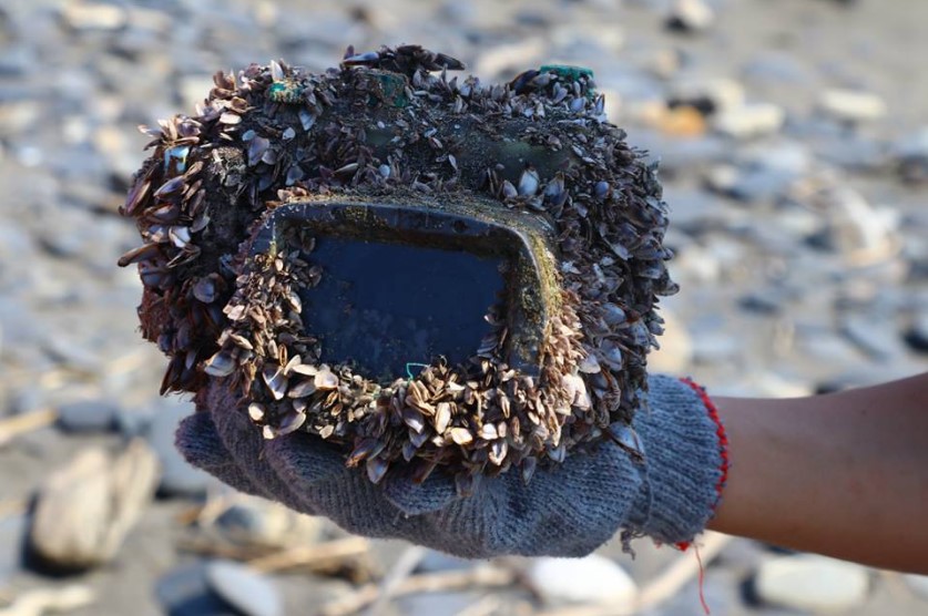 В Японии нашли хозяйку камеры, пролежавшей в море два года 1