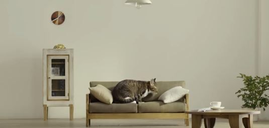 В Японии признали поражение в “битве за диван” и начали выпускать специальную мебель для кошек