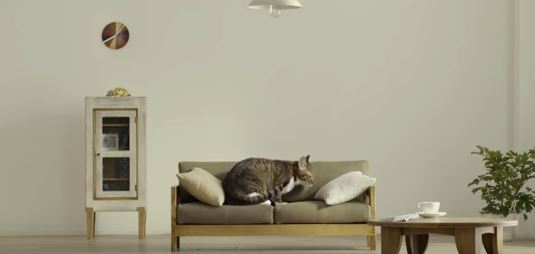 В Японии признали поражение в “битве за диван” и начали выпускать специальную мебель для кошек