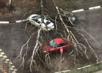В Москве ураган повалил сотни деревьев, погиб ребенок