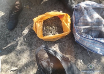 В Баштанке полиция изъяла у местного жителя марихуаны на 100 000 гривен