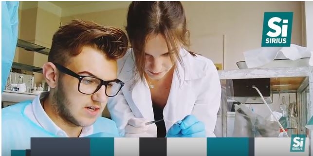 Украинский школьник придумал технологию производства бумаги из опавших листьев.