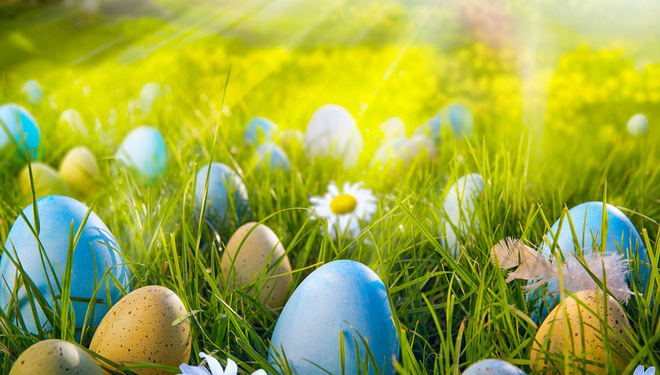 Прогноз николаевского гидрометеоцентра до 9 апреля: погода на Пасху будет очень теплой