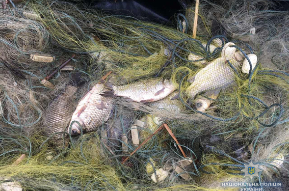 Браконьера со 300 метрами сетей задержали в Вознесенском районе