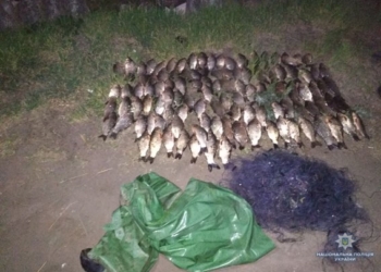 Рыба всем нужна. Николаевская полиция поймала браконьеров в акватории Южного Буга, Ингула и лимана