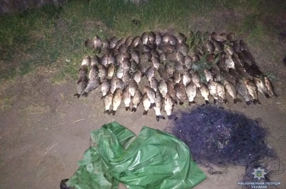 Рыба всем нужна. Николаевская полиция поймала браконьеров в акватории Южного Буга, Ингула и лимана