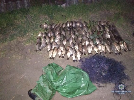 Рыба всем нужна. Николаевская полиция поймала браконьеров в акватории Южного Буга, Ингула и лимана 5