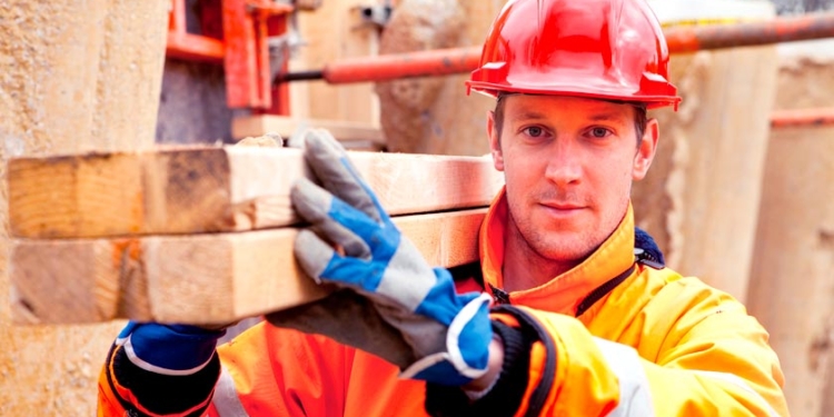 Сезонные работы близко: Польша меняет правила для трудовых мигрантов