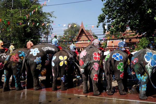 В Таиланде отметили знаменитый предновогодний Фестиваль воды со слонами 5