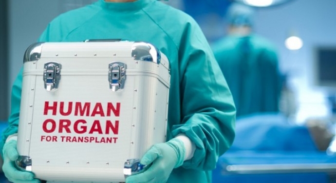 Почем продать почку? Сколько можно заработать в Украине на продаже частей своего тела