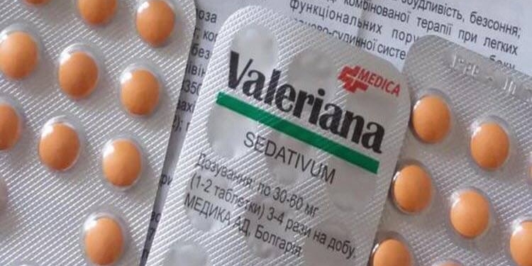 Валериана: один из самых популярных растительных препаратов полезен далеко не всем