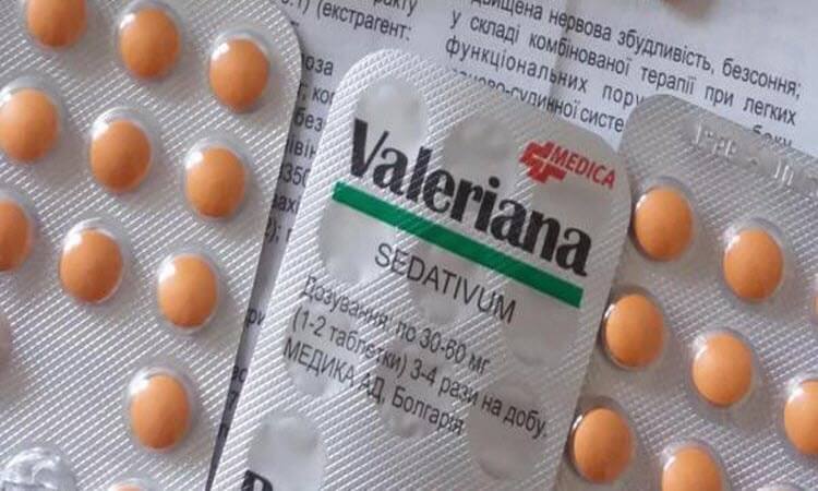 Валериана: один из самых популярных растительных препаратов полезен далеко не всем 1