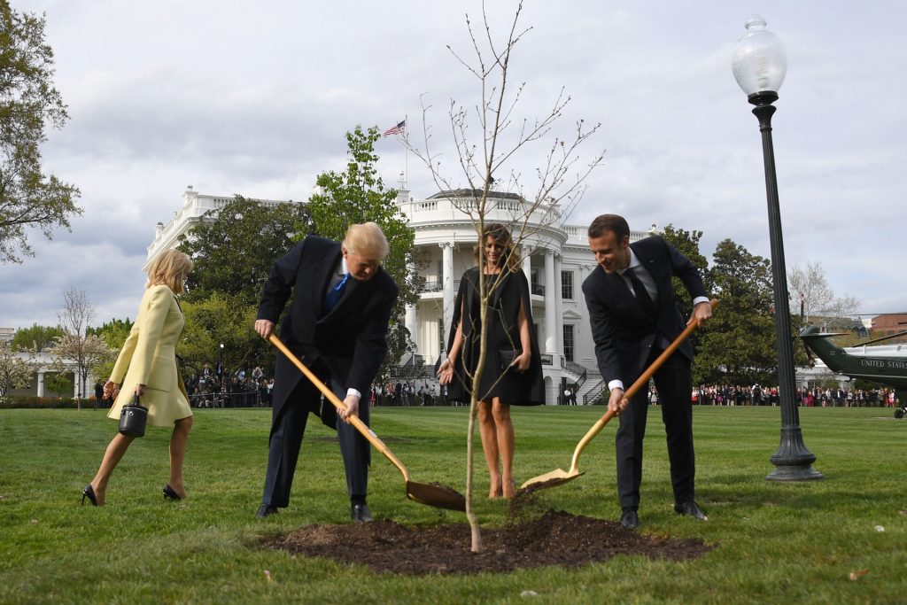 Дуб, посаженный Трампом и Макроном, исчез с лужайки возле Белого дома 4