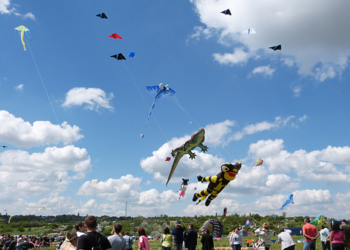 Укрощение строптивых. Под Николаевом готовится к открытию грандиозный фестиваль воздушных змеев