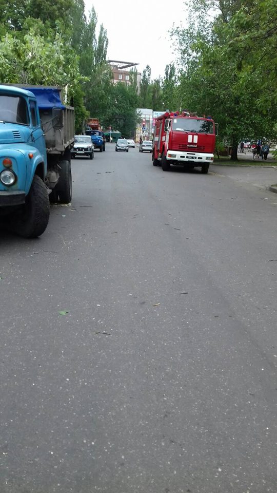 В Ингульском районе Николаева дерево рухнуло на проезжую часть 3