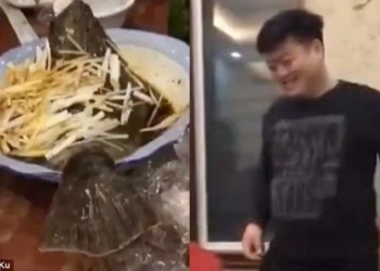 Рыба-зомби: в китайском ресторане приготовленная на пару камбала выскочила из тарелки