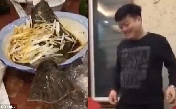 Рыба-зомби: в китайском ресторане приготовленная на пару камбала выскочила из тарелки 1