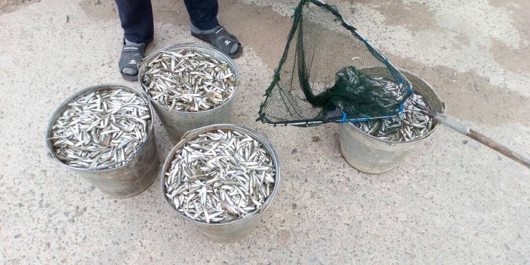 У Александровской ГЭС Николаевский рыбоохранный патруль поймал двух браконьеров