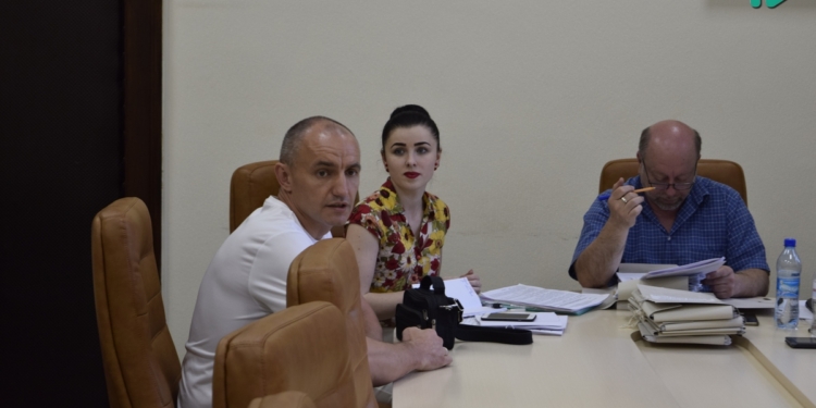 Новый директор «Центра защиты животных»: Стаи собак нужно убирать с улиц города