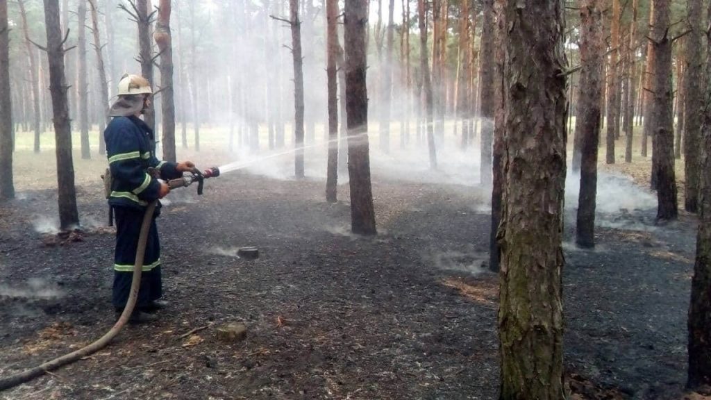 Снова под Николаевом горел Матвеевский лес. Николаевские спасатели подозревают поджог 1