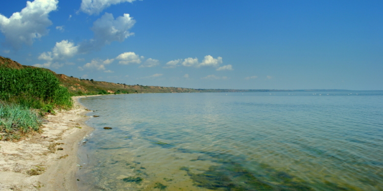 Точка поставлена: предприятие экс-депутата Николаевского облсовета не может арендовать 157 га дна Бугского лимана