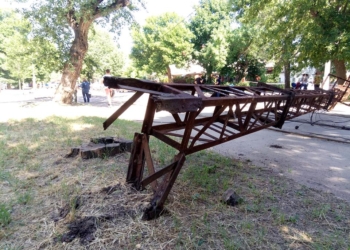 «Надо еще падение этих веток?»: 1-й заместитель мэра Николаева раскритиковал Департамент ЖКХ за ситуацию с аварийными ветками на Потемкинской