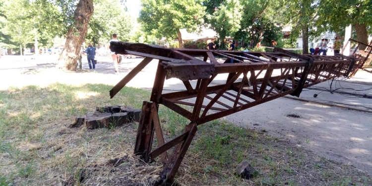 «Надо еще падение этих веток?»: 1-й заместитель мэра Николаева раскритиковал Департамент ЖКХ за ситуацию с аварийными ветками на Потемкинской