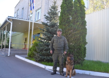 На Николаевщине пропавшую 12-летнюю девочку отыскал Азарт