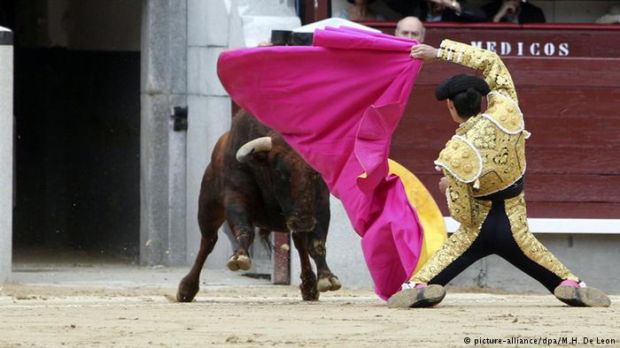 «Бой быков - национальный позор»: испанцы вышли на массовые протесты против корриды 1