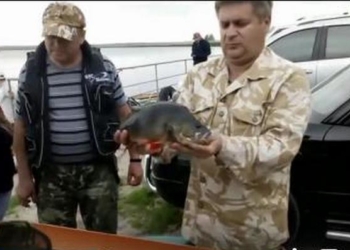 Поймали, измерили и отпустили: на Николаевщине проходили соревнования по ловле хищной рыбы