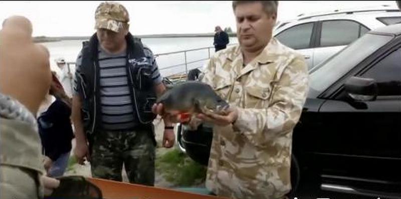 Поймали, измерили и отпустили: на Николаевщине проходили соревнования по ловле хищной рыбы 1