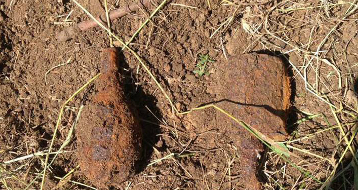 В Корабельном районе Николаева нашли минометную мину, а в Кульбакино – две ручных гранаты