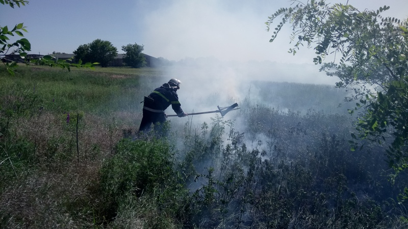 За минувшие сутки на Николаевщине 14 раз тушили пожары в экосистемах 1
