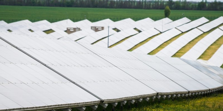 Николаевская ОГА разрешила владельцу солнечной электростанции в Бугской ОТГ начать процесс отвода земли в аренду