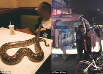 В Китае менеджер ресторана оказался в больнице после потери сознания, когда один из посетителей пришел с питоном