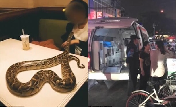 В Китае менеджер ресторана оказался в больнице после потери сознания, когда один из посетителей пришел с питоном