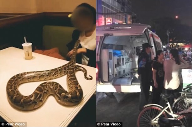 В Китае менеджер ресторана оказался в больнице после потери сознания, когда один из посетителей пришел с питоном 1