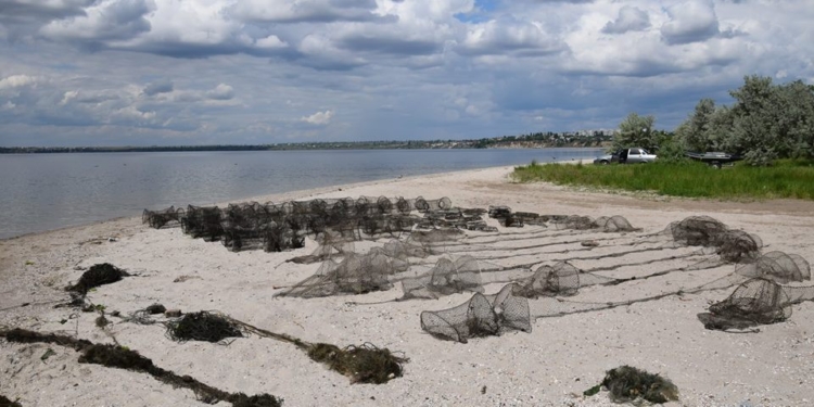Трофеи водной полиции Николаевщины: изъятое в Новоодесском районе «расстелили» на николаевском пляже «Стрелка»
