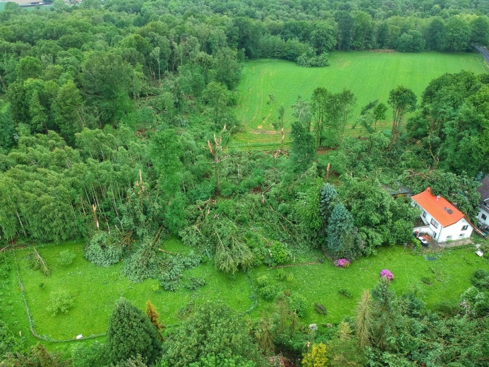 Торнадо в Германии "положил" лес и сорвал крыши 5