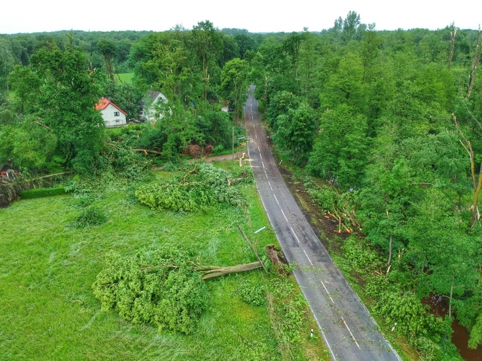 Торнадо в Германии "положил" лес и сорвал крыши 11